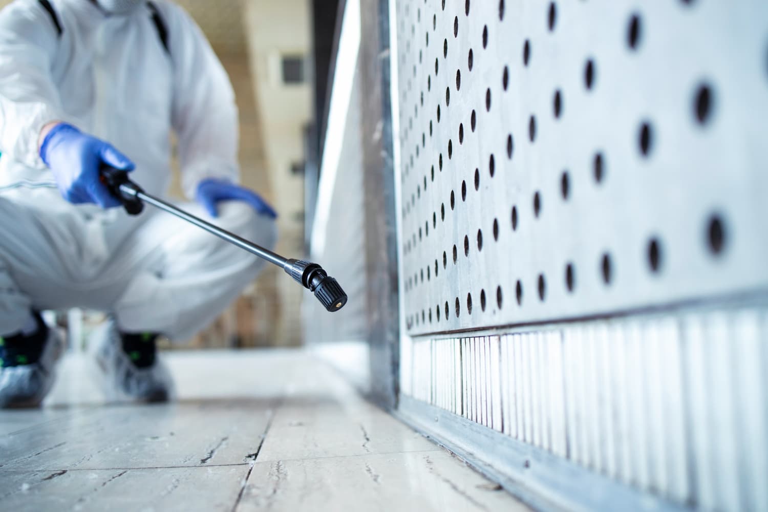 Schädlingsbekämpfung in der Oberpfalz und Niederbayern für Industrieunternehmen, kommunale Einrichtungen, Schulen, Kindergärten, Altenheime und Gewerbebetriebe und Privatkunden