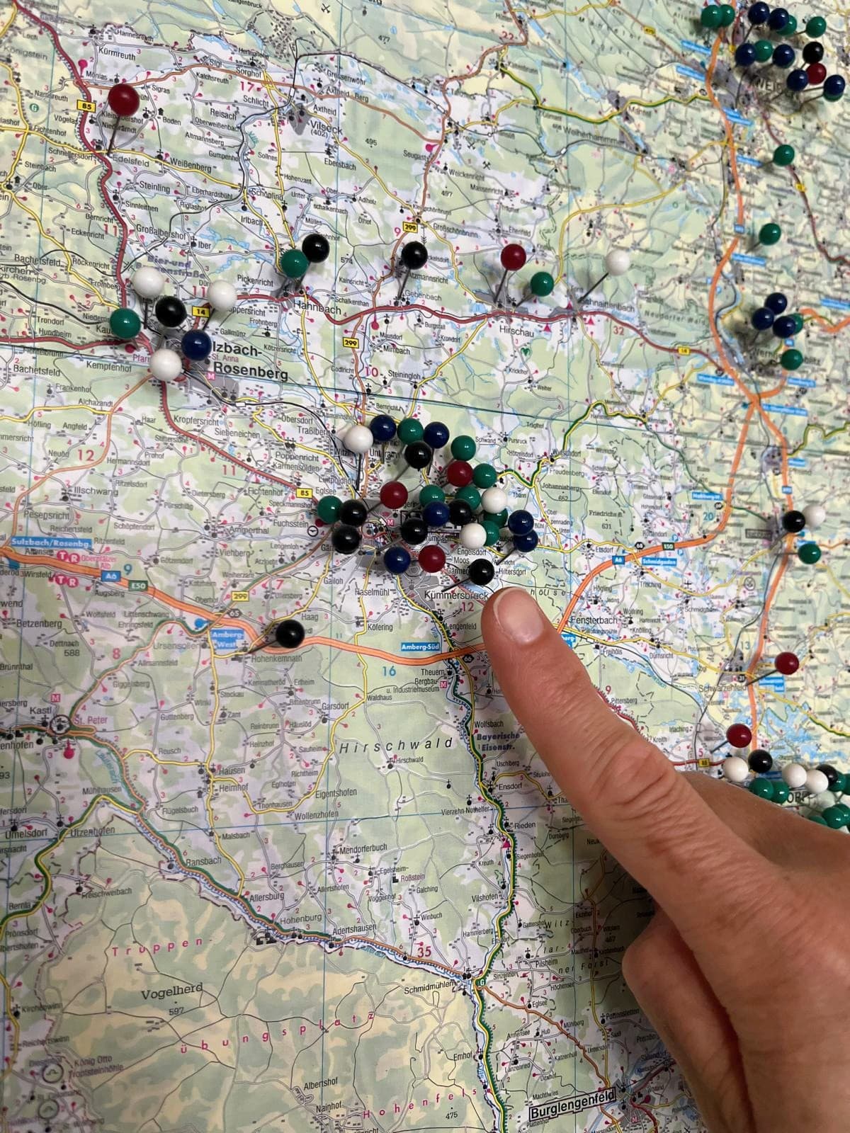 Servicegebiet Stadt Amberg sowie Landkreis Amberg-Sulzbach-Rosenberg bis Weiden und Hof der Biersack GmbH Schädlingsbekämpfung in der Oberpfalz.